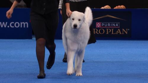 为什么选择我们